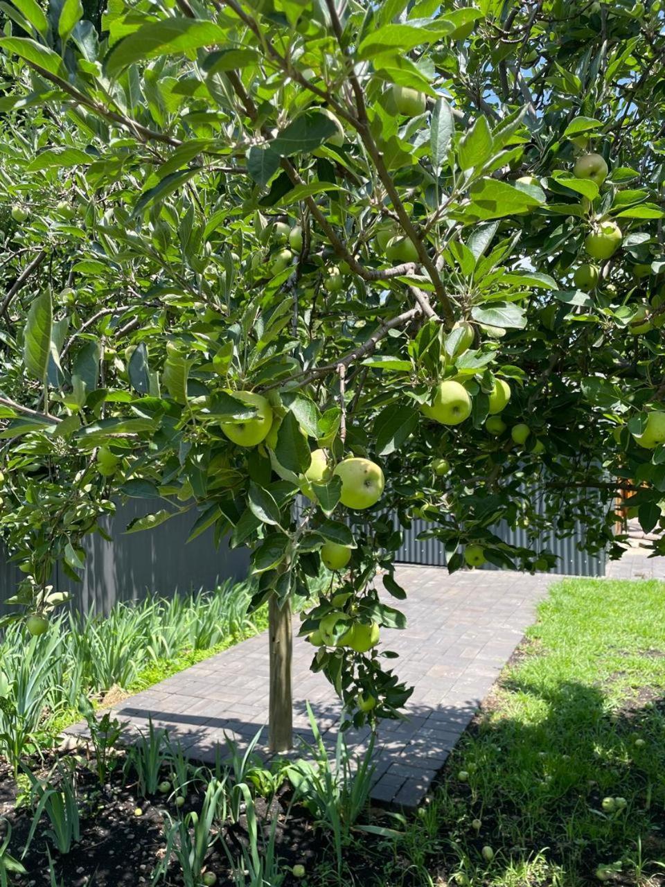 Periwinkle, Grove ,Acorn & Sage Cottages Кларенс Екстериор снимка