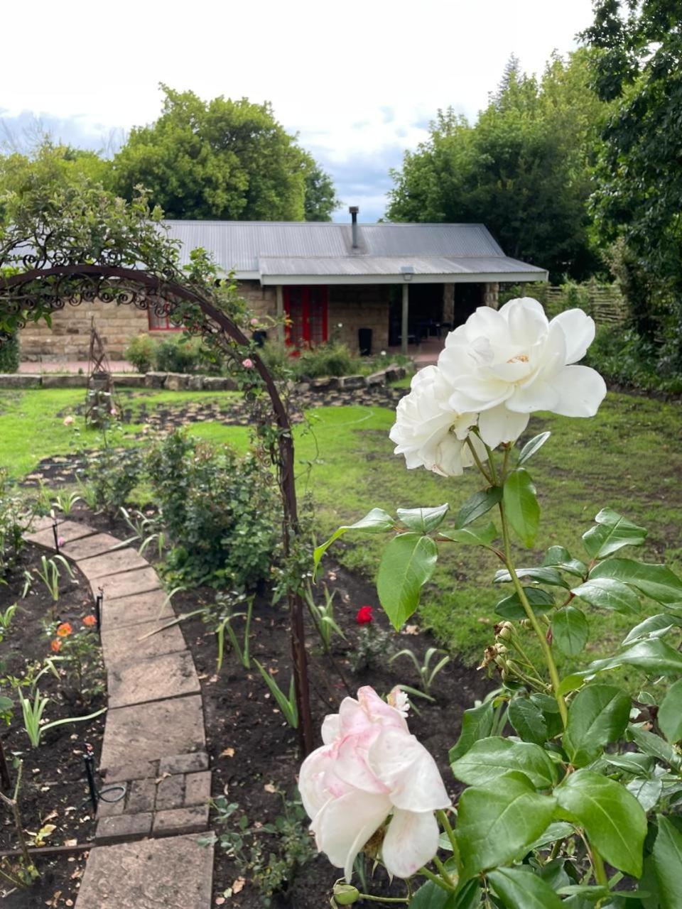 Periwinkle, Grove ,Acorn & Sage Cottages Кларенс Екстериор снимка