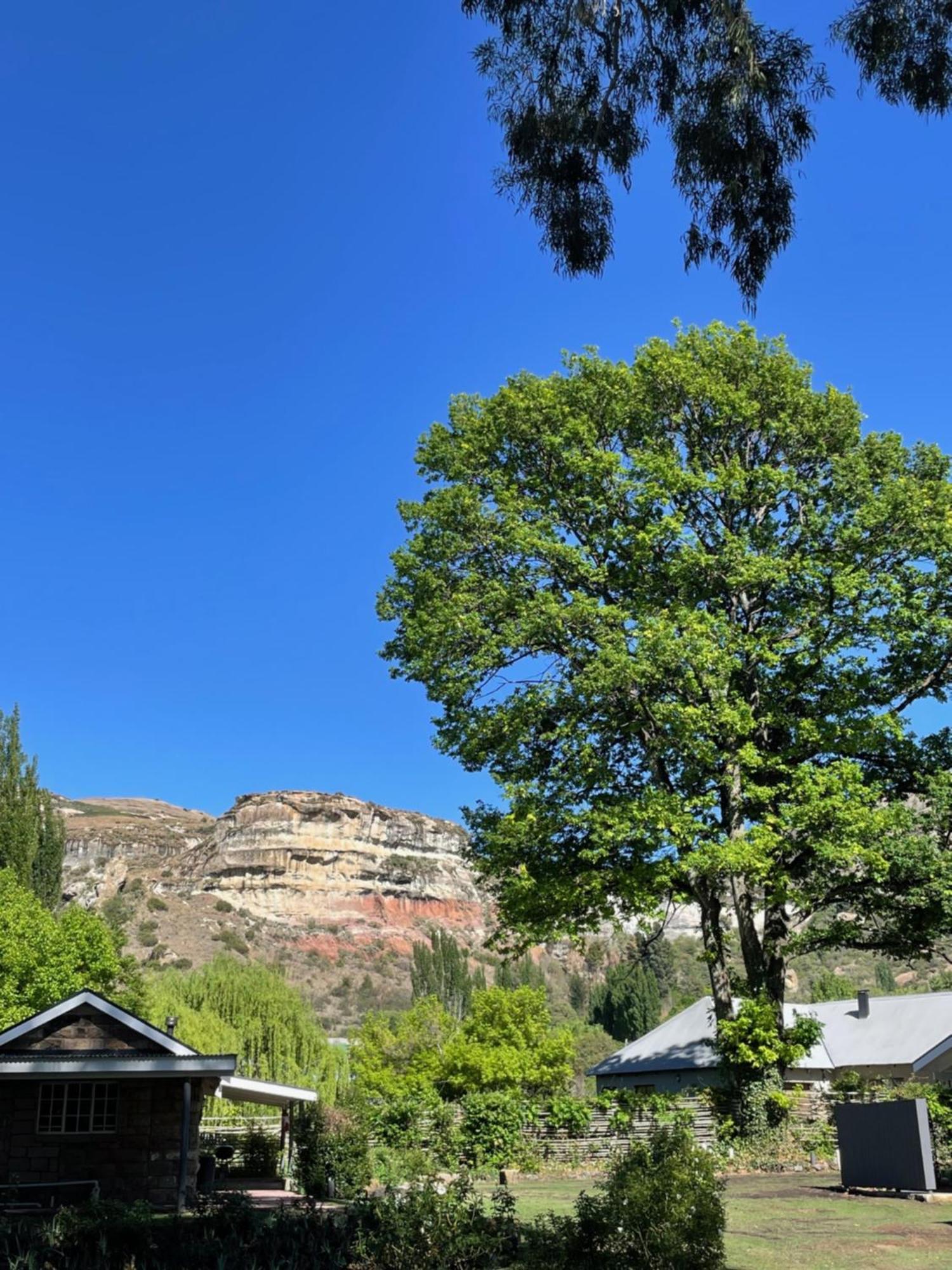 Periwinkle, Grove ,Acorn & Sage Cottages Кларенс Екстериор снимка