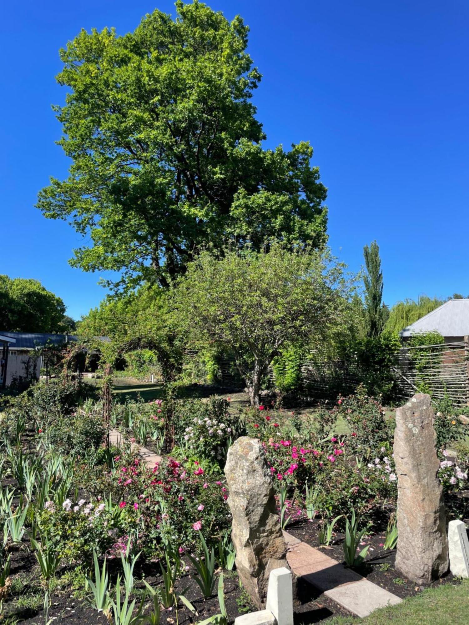 Periwinkle, Grove ,Acorn & Sage Cottages Кларенс Екстериор снимка