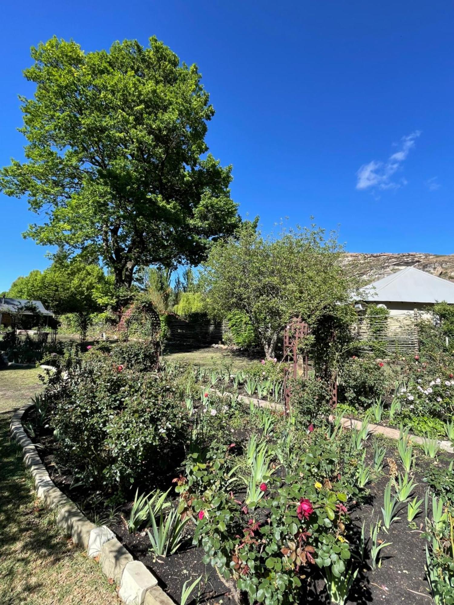 Periwinkle, Grove ,Acorn & Sage Cottages Кларенс Екстериор снимка
