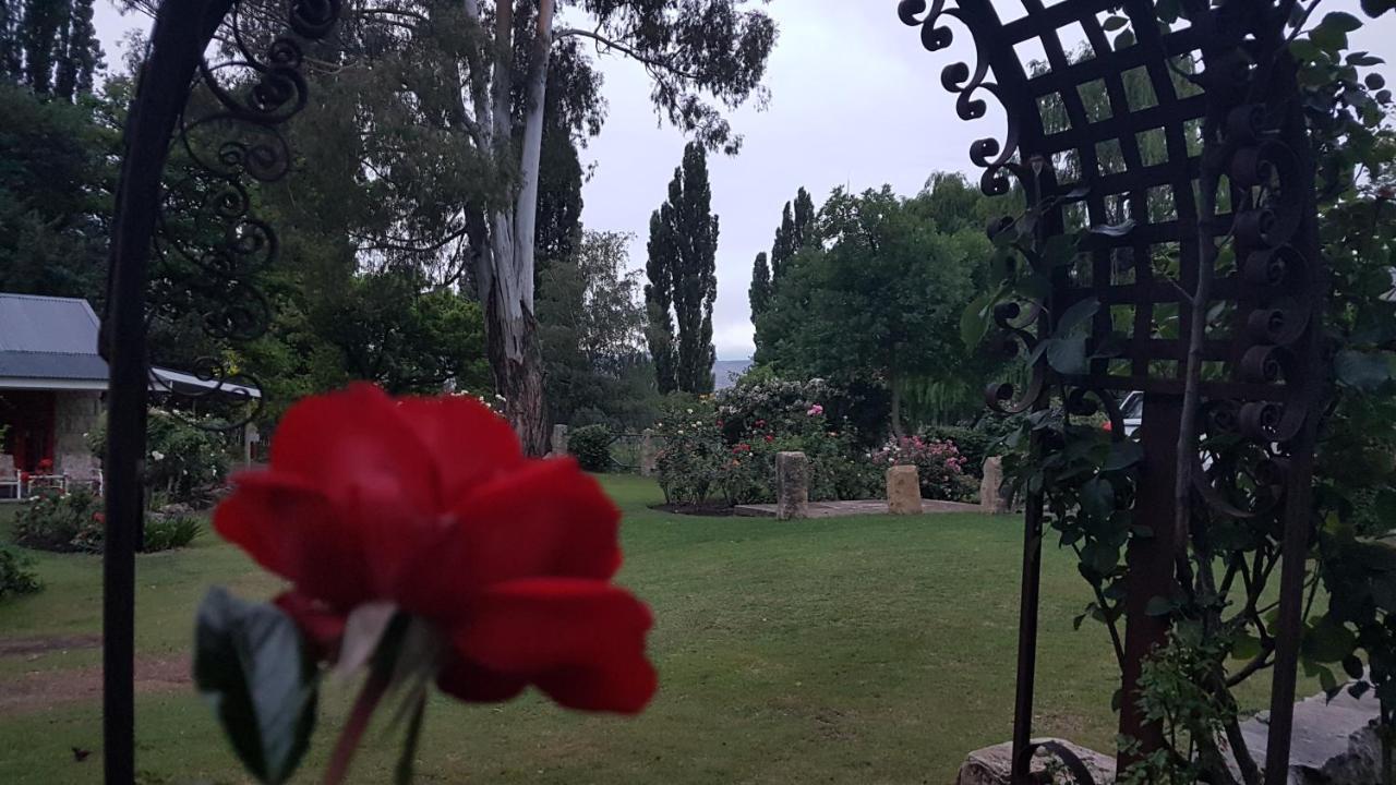 Periwinkle, Grove ,Acorn & Sage Cottages Кларенс Екстериор снимка